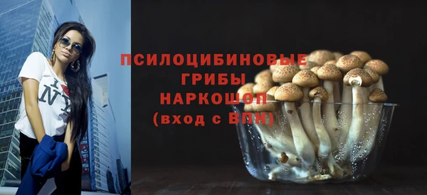 ECSTASY Мегион
