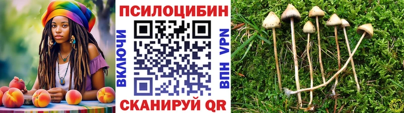 KRAKEN ТОР  Добрянка  Галлюциногенные грибы Psilocybine cubensis  где можно купить наркотик 