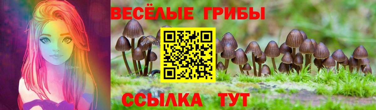 Галлюциногенные грибы Magic Shrooms Добрянка